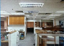 International Plaza (D2), Office #482748491